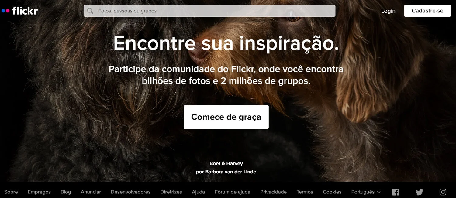 Tela do banco de imagens gratuitas Flickr com close de dois cachorros, com foco nos seus focinhos, acompanhado por uma placa e texto branco em um fundo preto
