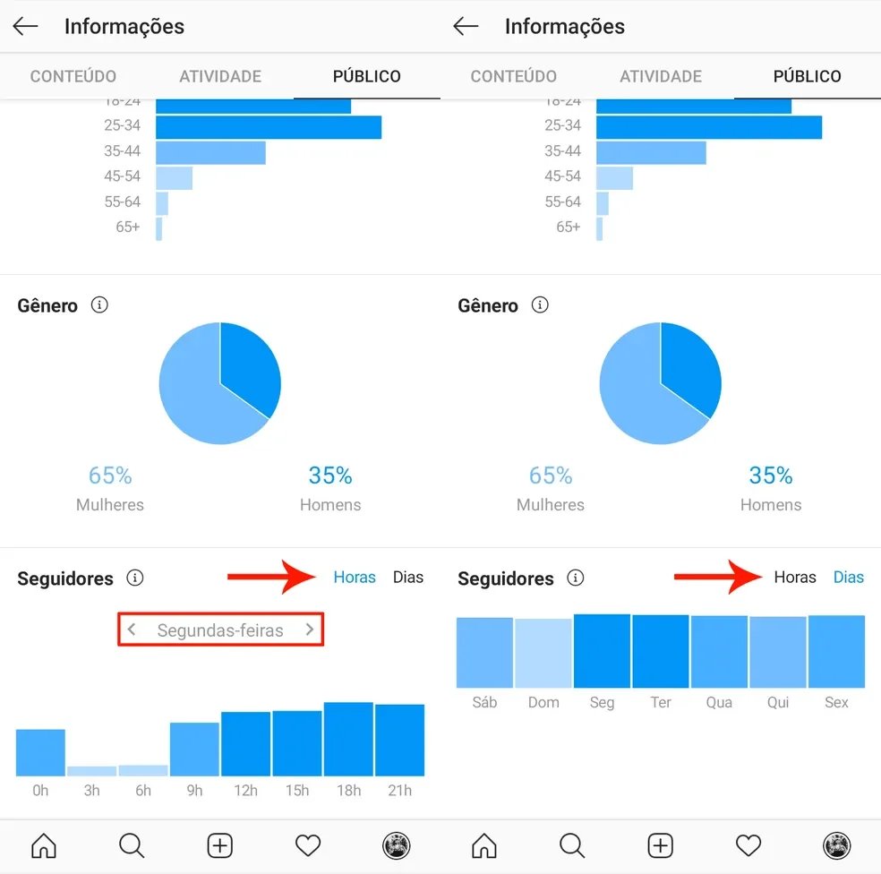 Print de métricas de alcance que mostram os números de seguidores, bem como a distribuição em gênero e idade.