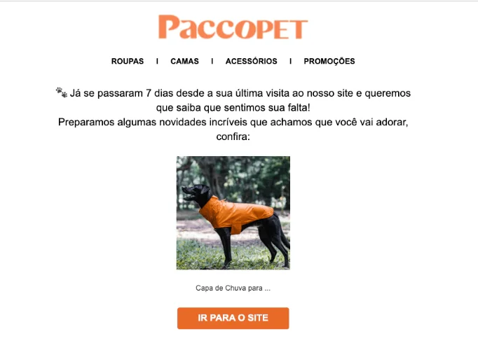 Um print de um e-mail da Paccopet com a foto de um cachorro informando que estão sentindo falta