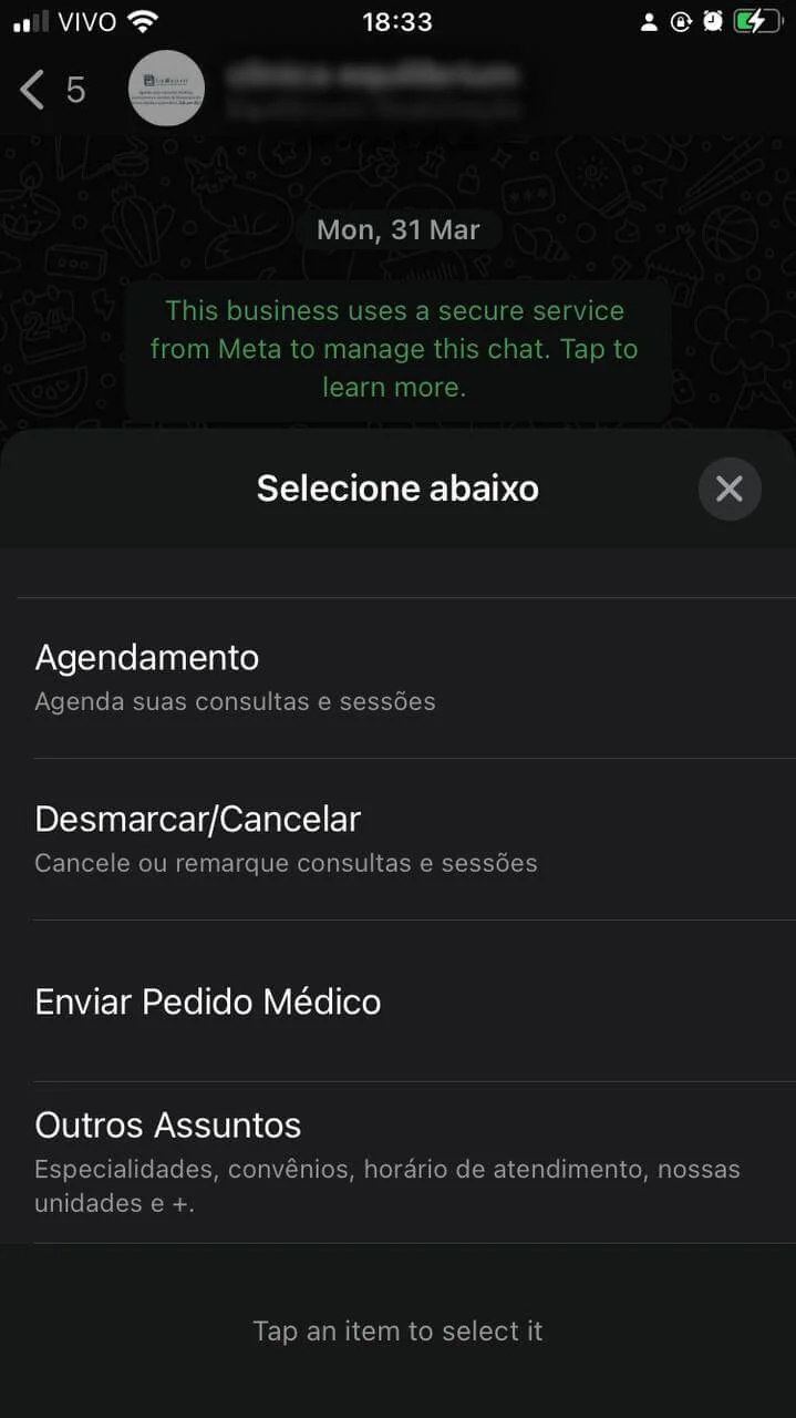 Captura de uma conversa via WhatsApp Business, com a mensagem de saudação listando opções de atendimento)