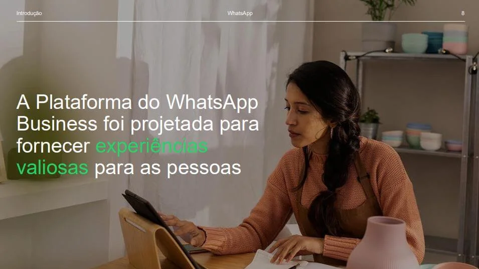 Uma captura de tela mostrando o material informativo fornecido pela plataforma do WhatsApp Business.