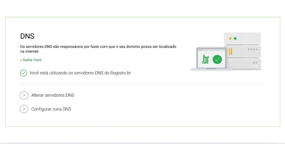 Print da seção de DNS na plataforma Registro.br.
