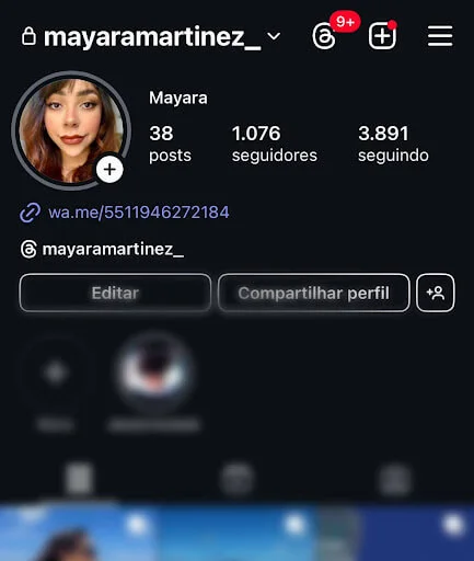 Exemplo de link do WhatsApp no Instagram com DDI e DDD no formato wa.me