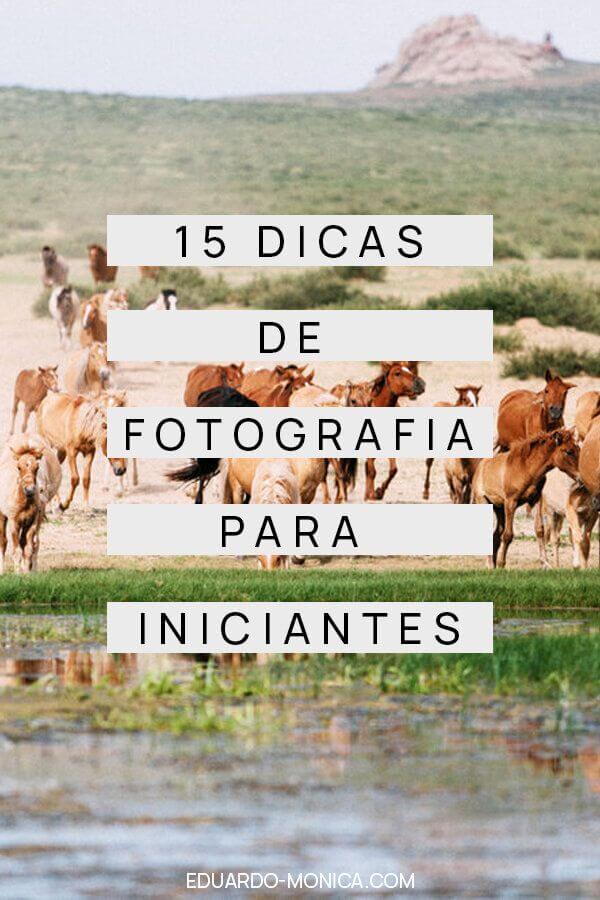 Fotografia mostrando cavalos numa paisagem de savana, próximos a um corpo d’água. Sobre a imagem, há o texto “15 dicas de fotografia para iniciantes”.