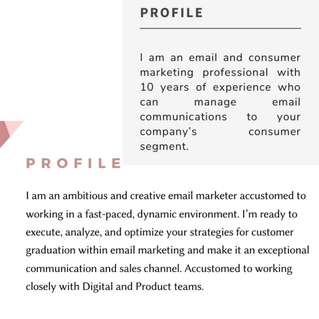 Examples of resume summary