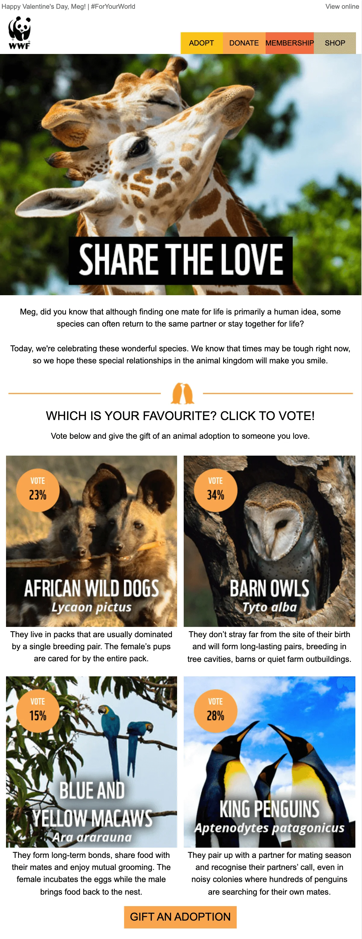 Valentine’s Day email marketing campaign by WWF with a quiz