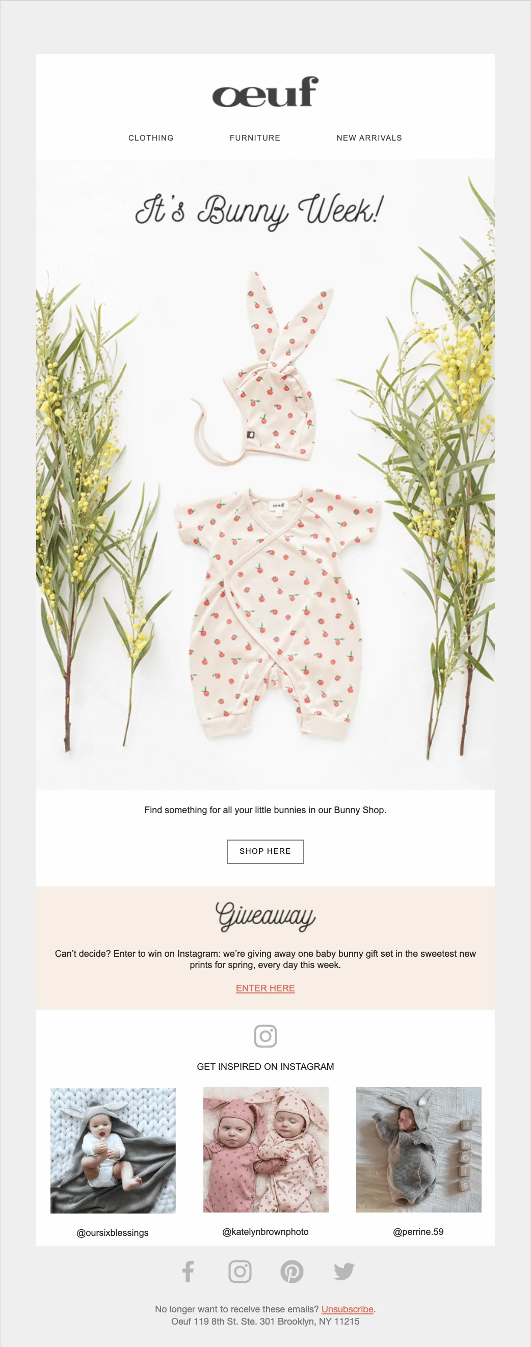 An email with the tagline It’s Bunny week