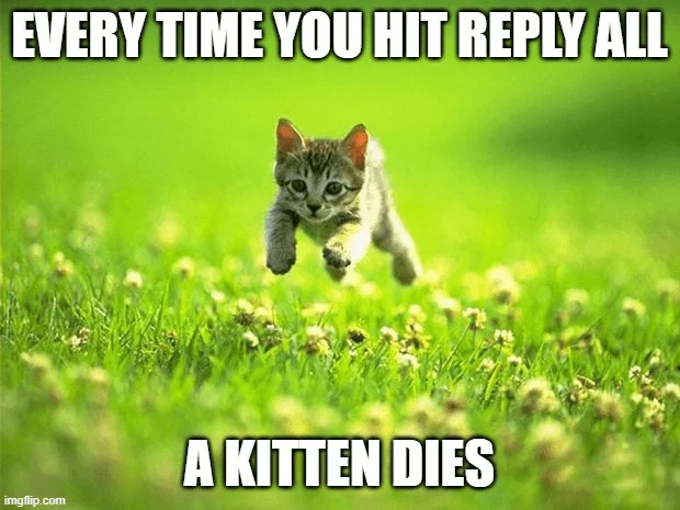 meme with a kitten
