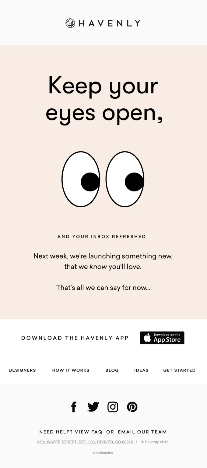 Email from Havenly