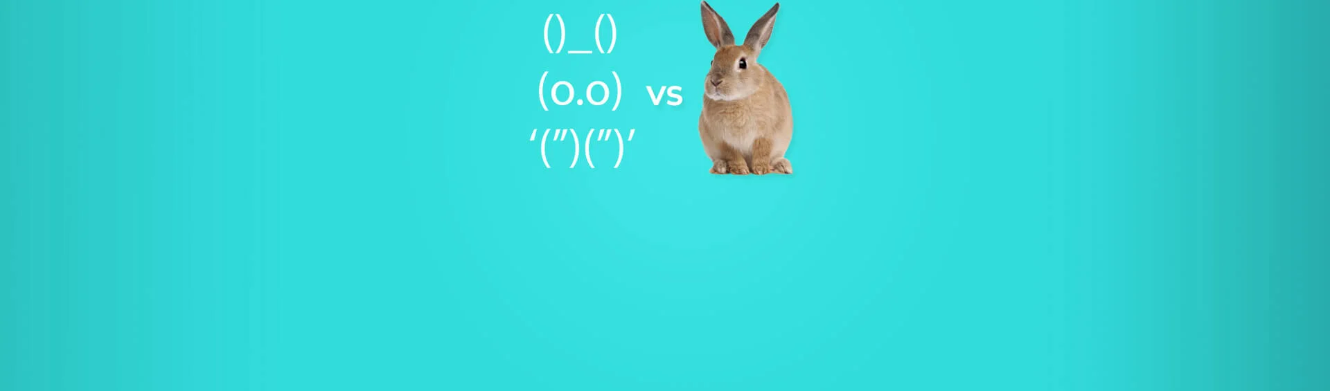 HTML vs Plain Text Emails: What Is The Difference And Which Works Better