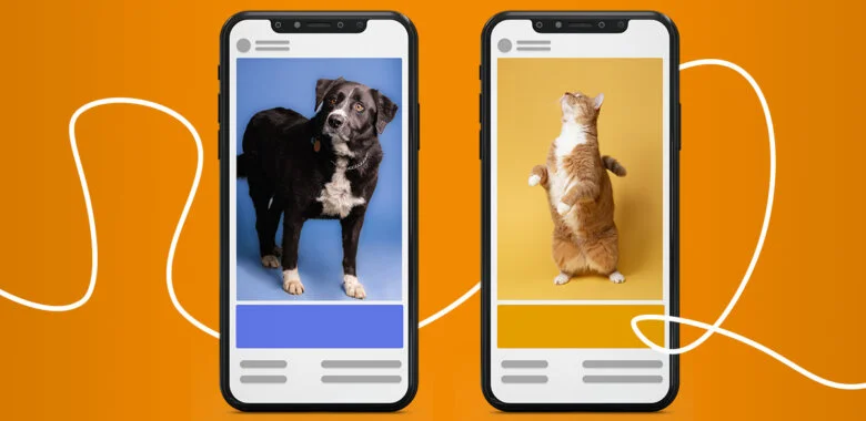 Everything You Need To Know About Dynamic Email Content