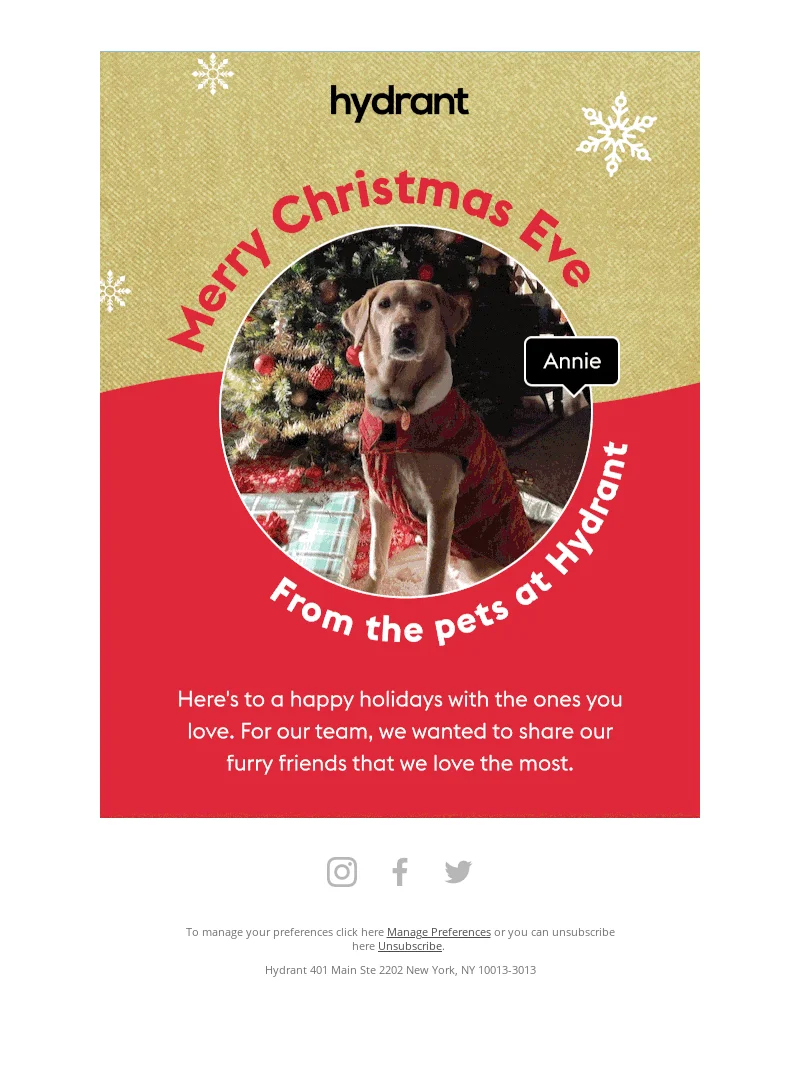 An email with a photo of a dog dressed in red sitting under a Christmas tree and a name tag by the photo saying Annie with a text going around the photo that says Merry Christmas Eve From the pets at Hydrant