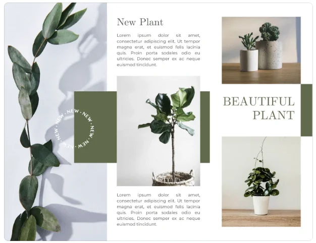 Front side of a brochure template by Canva
