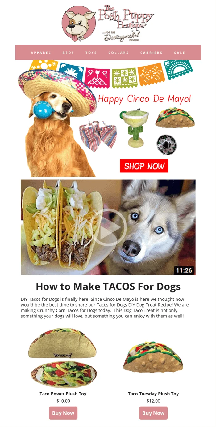 A Cinco de Mayo email explaining how to make tacos for dogs