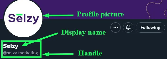 Selzy’s profile on Twitter