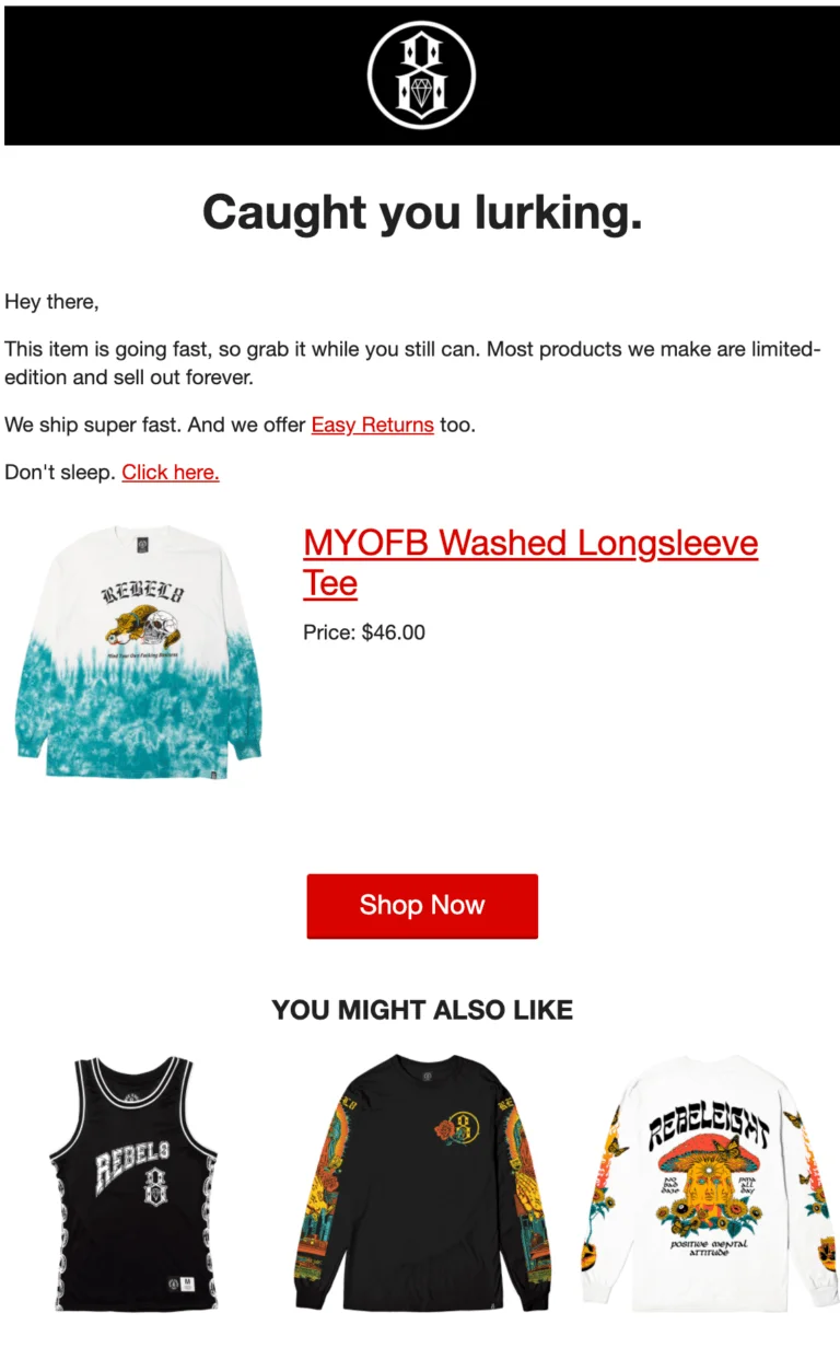 Browse abandonment email from REBEL8
