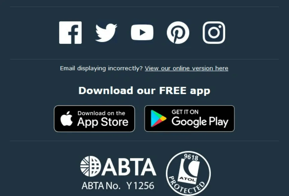 The newsletter contains social media icons