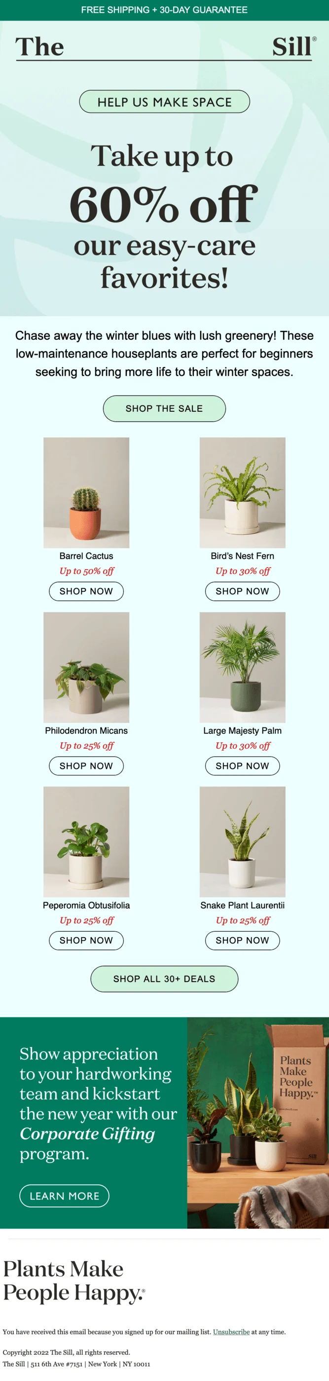 An email with the banner text “Take up to 60% off our easy-care favorites!” and plants recommendations below
