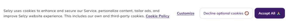 A screenshot of Selzy’s cookie consent pop-up, including third-party cookies