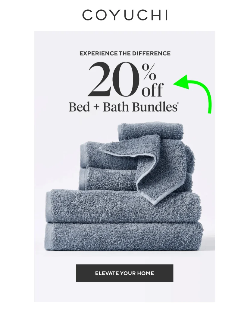 An email that provided an exclusive promotion and discount