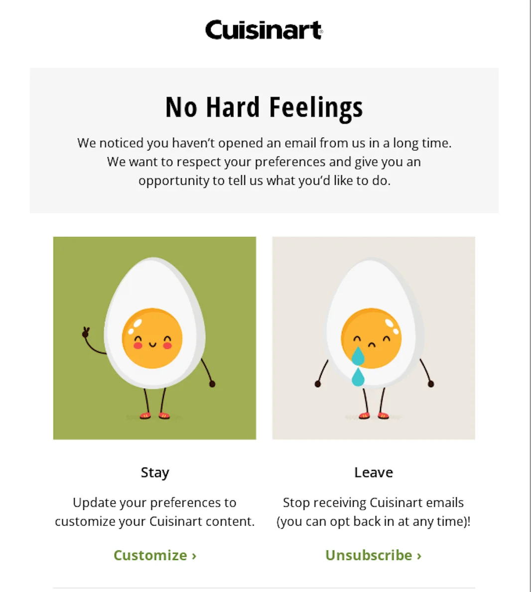 An email newsletter asking about client’s preferences after some time of being not active
