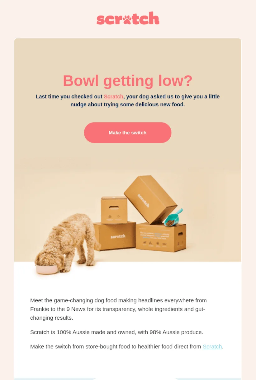 A newsletter that suggests a promotional material for a dog owner