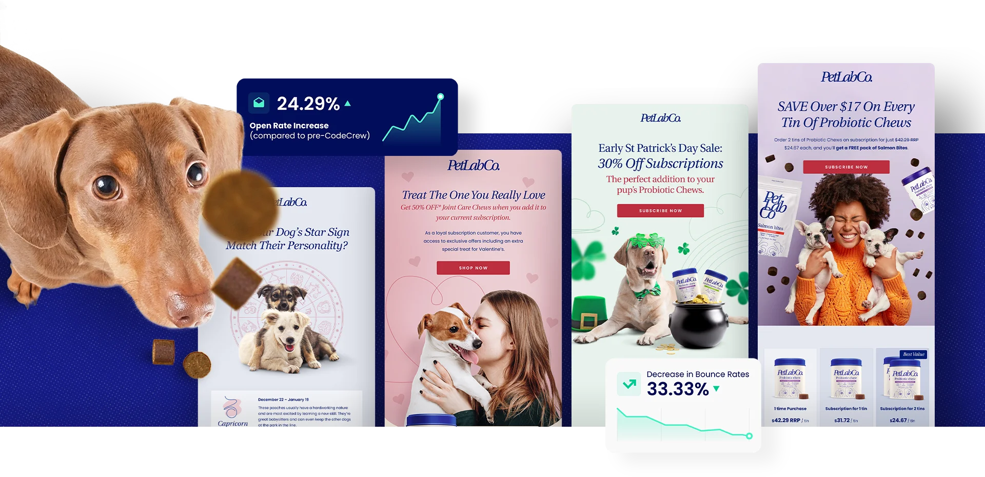 Examples of marketing newsletters of PetLab.co