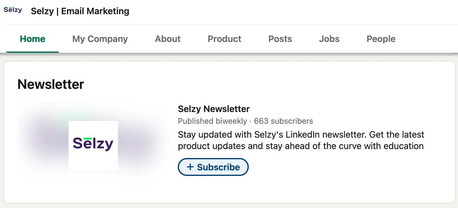 Selzy Newsletter on LinkedIn with biweekly publication schedule