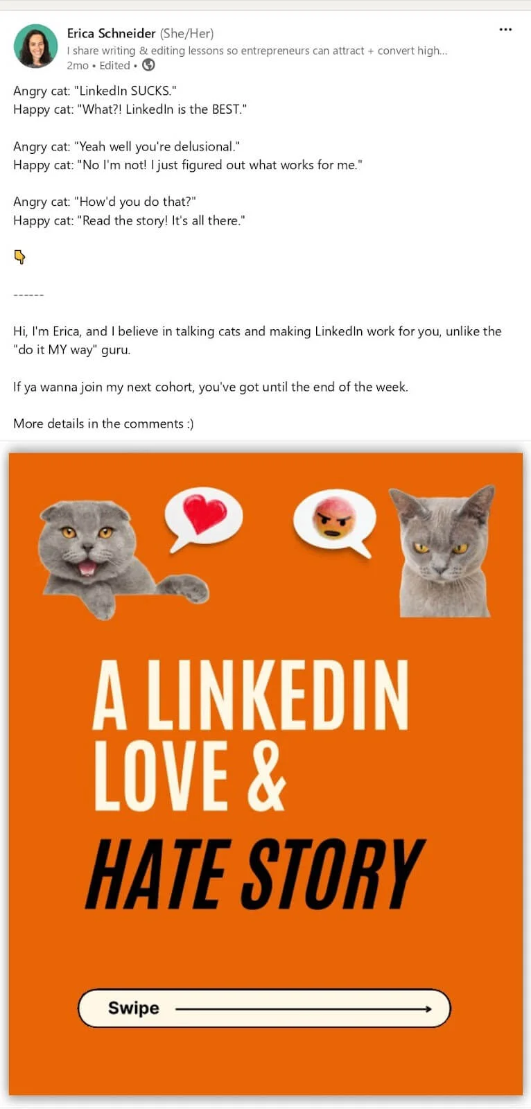 A post with a dialogue of an angry and a happy cat and a carousel with a LinkedIn love & hate story