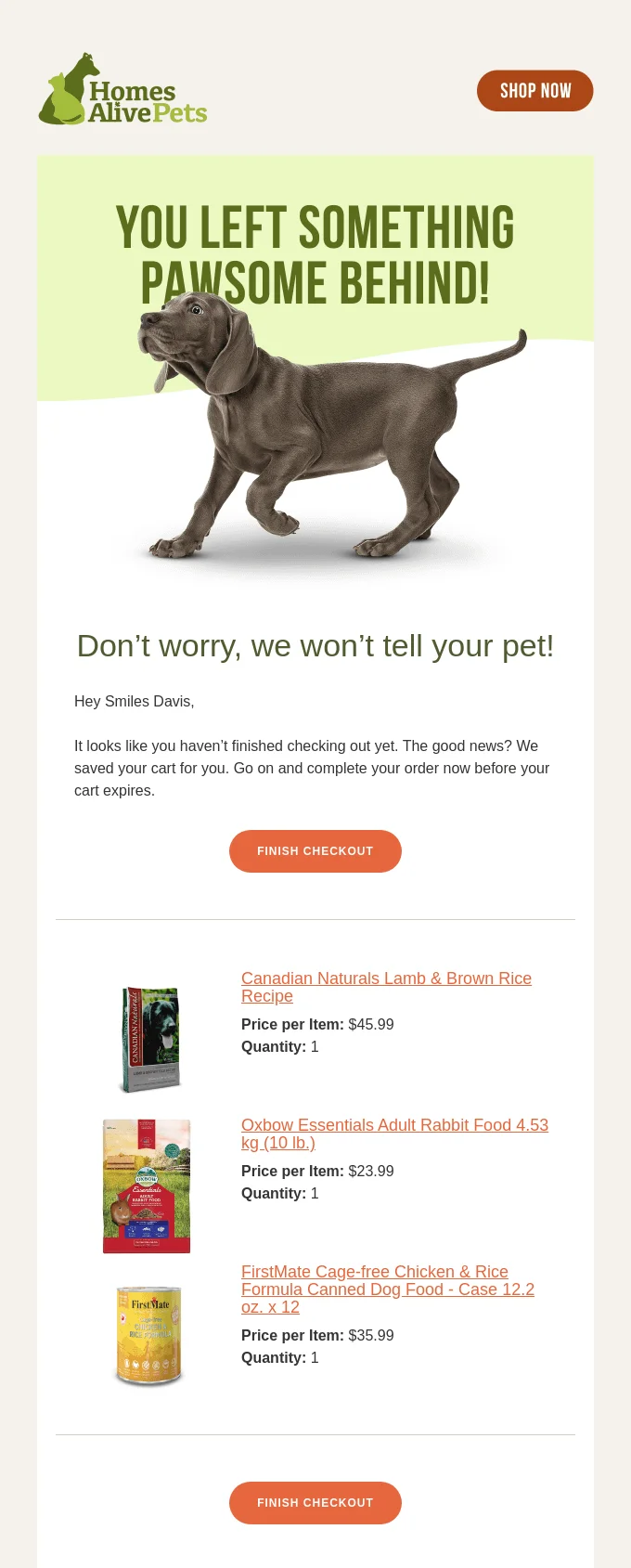 An email from Homes Alive Pets featuring an image of a dog and some of the brand’s products