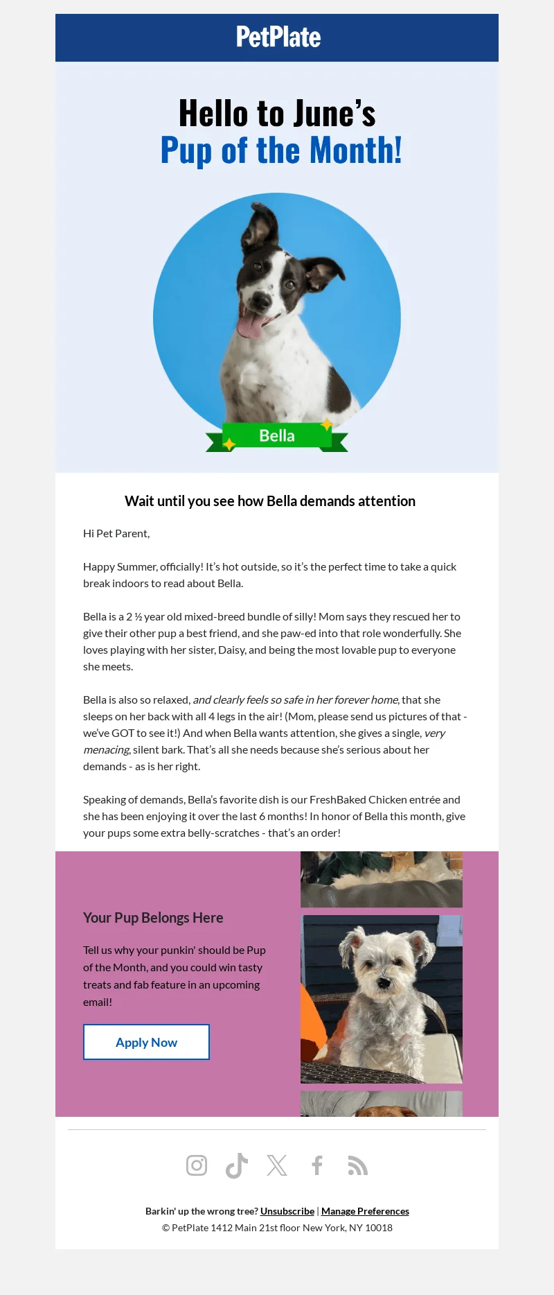 An email from PetPlate featuring an image of June’s “Pup of the Month”