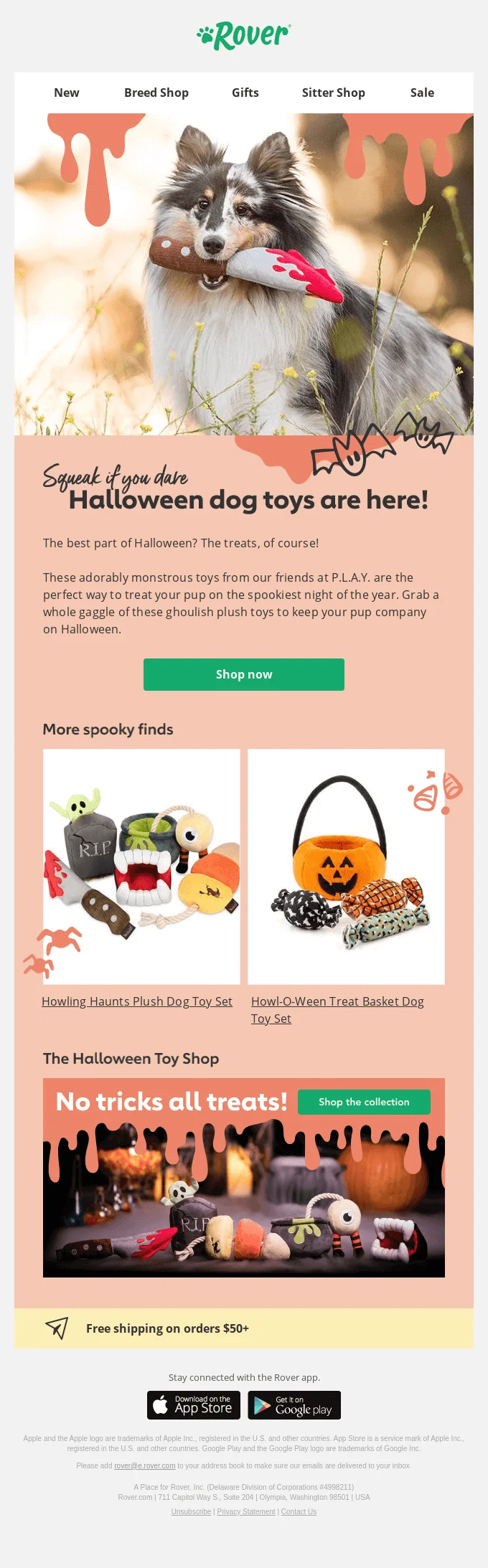 An email by Rover featuring an image of a dog holding a toy knife and images of the brand’s other Halloween toys