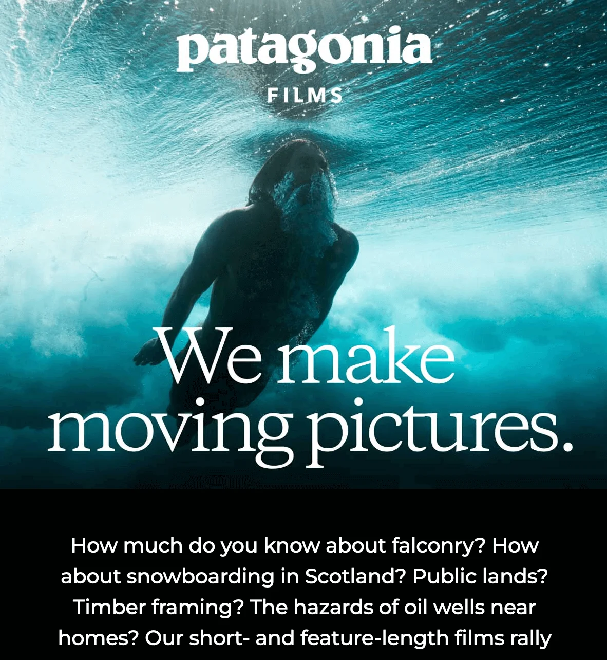 An email banner with a photo of a person swimming underwater and the tagline “We make moving pictures.” on the photo seamlessly blending into the email background
