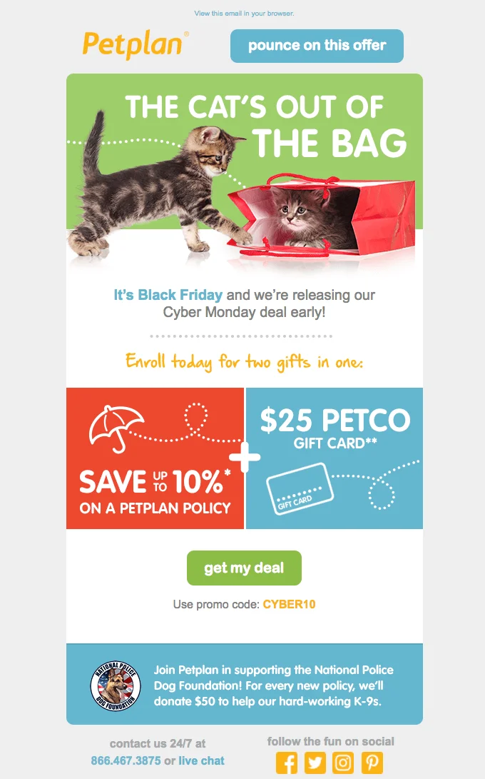An email from Petplan featuring an image of two kittens playing with a bag