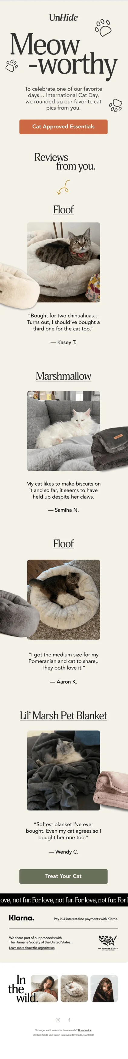 An email from UnHide featuring photos of cats