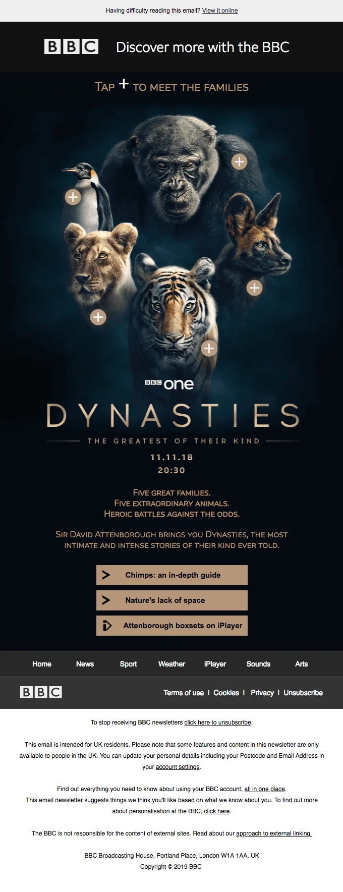 An email encouraging readers to discover more from the BBC and promoting a show called Dynasties and other programs