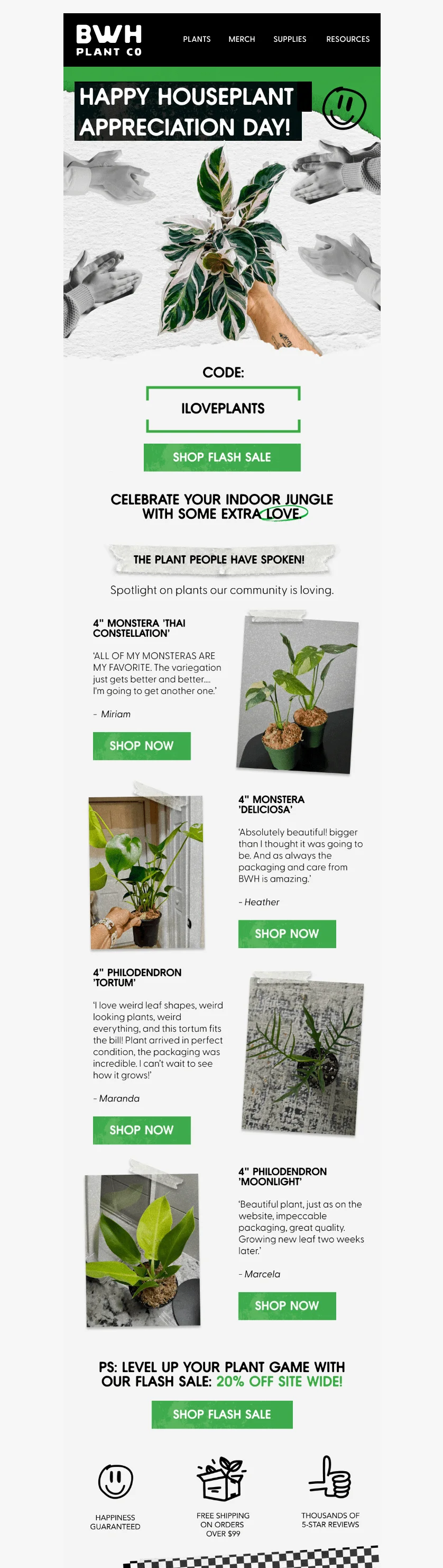 An email from BWH Plant Co announces a flash sale for Happy Houseplant Appreciation Day