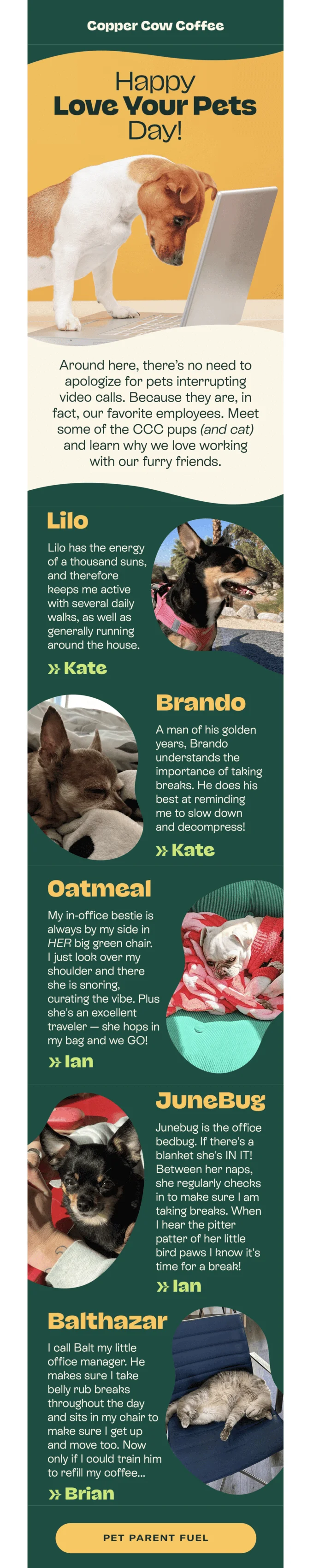 An email from Copper Cow Coffee that shares stories about pets their employees own