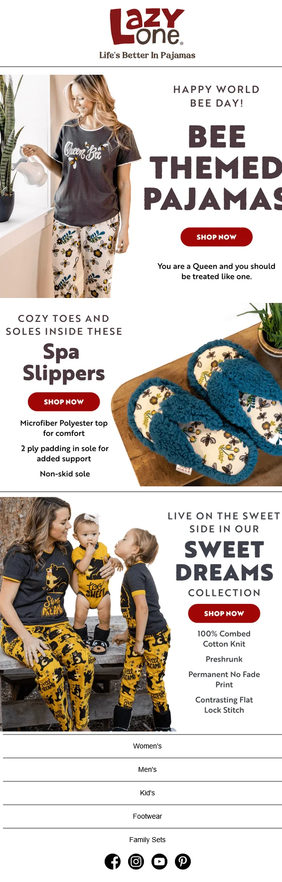 Lazy One's email to their subscribers with bee-themed products