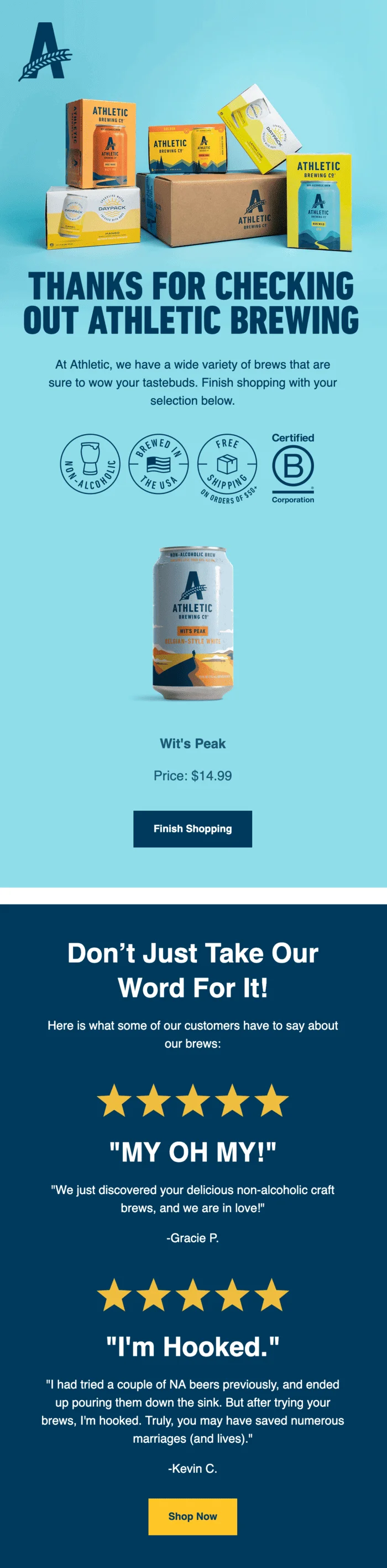 An email message from an abandoned cart sequence. The company acknowledges and thanks the customer for their interest and provides a CTA button with the text “Finish Shopping.”