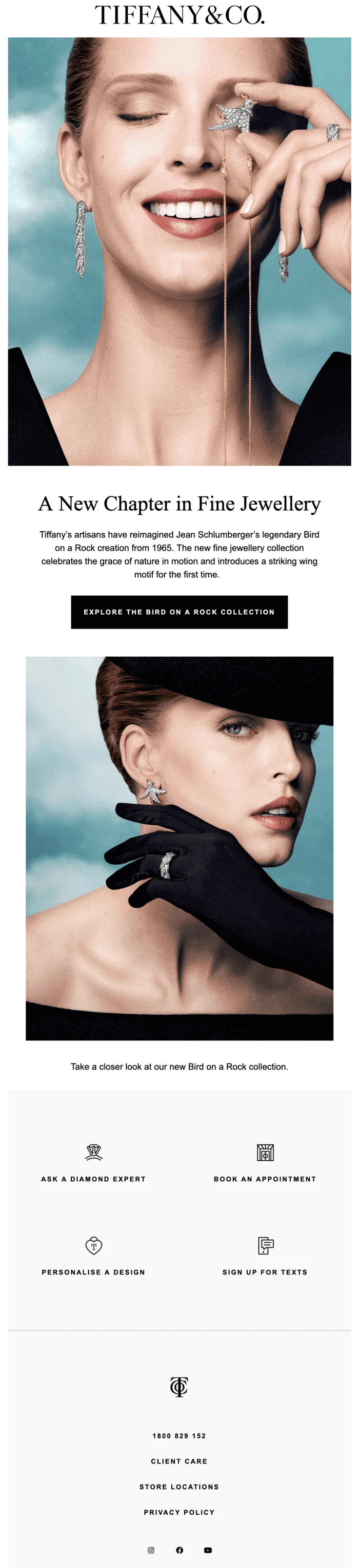 An email with the heading “A new chapter in fine jewelry” and the CTA button “Explore the bird on the rock collection”