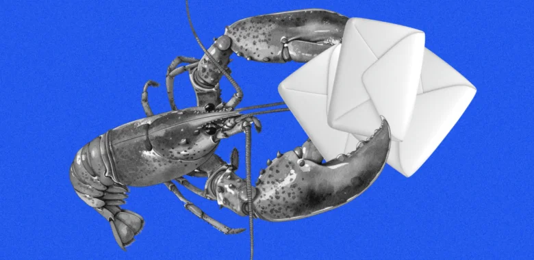 How to Use OpenClaw for Email Marketing with Selzy