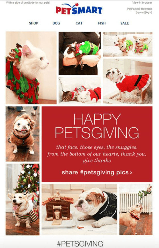 Thanksgiving Email by PetSmart