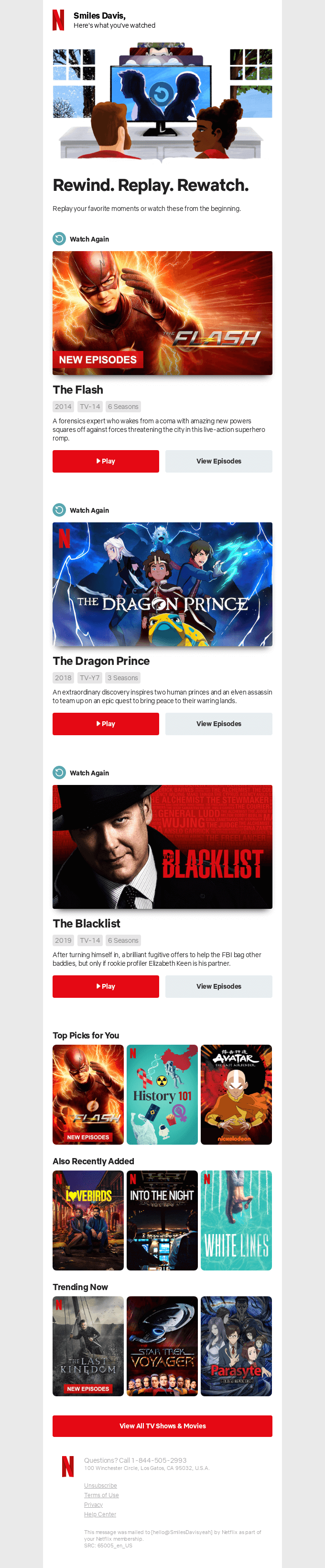 Winback Email Campaign by Netflix