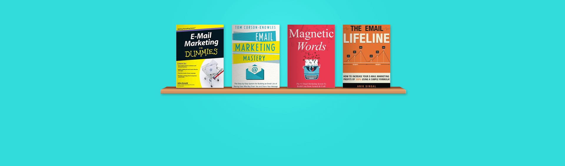 Top 9 Email Marketing Books For Beginners And Advanced Readers