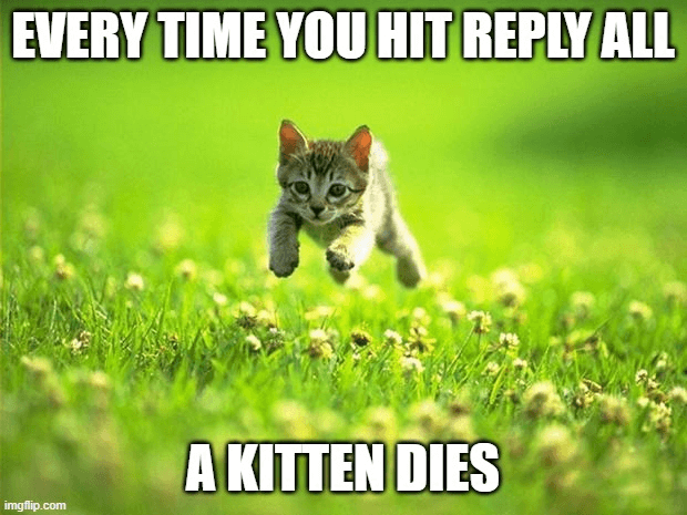 meme with a kitten