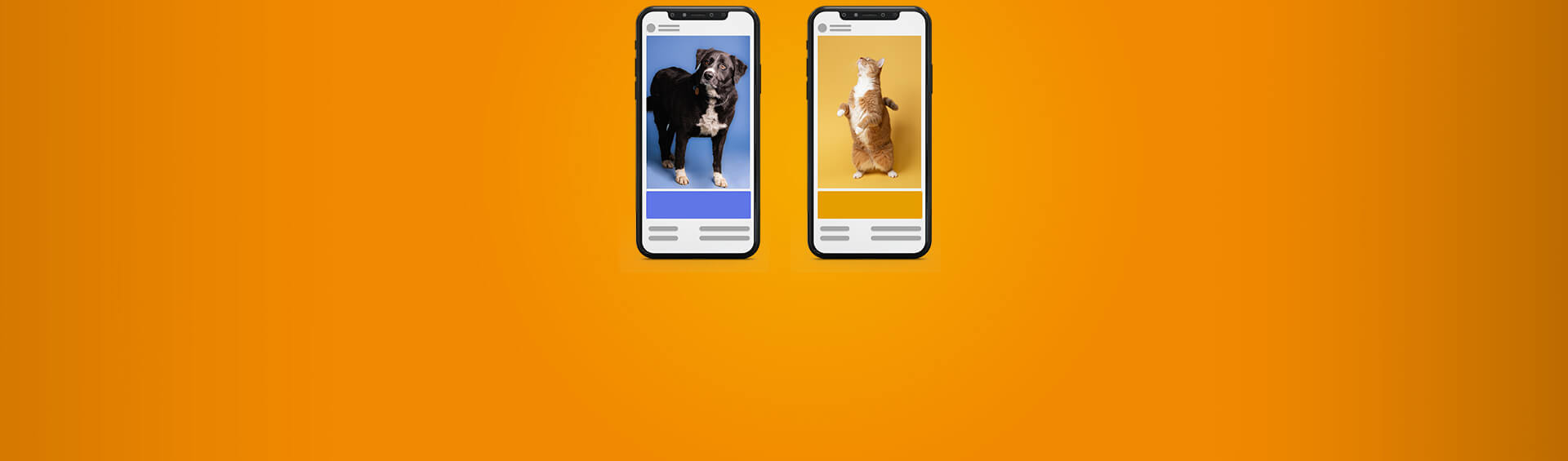 Everything You Need To Know About Dynamic Email Content