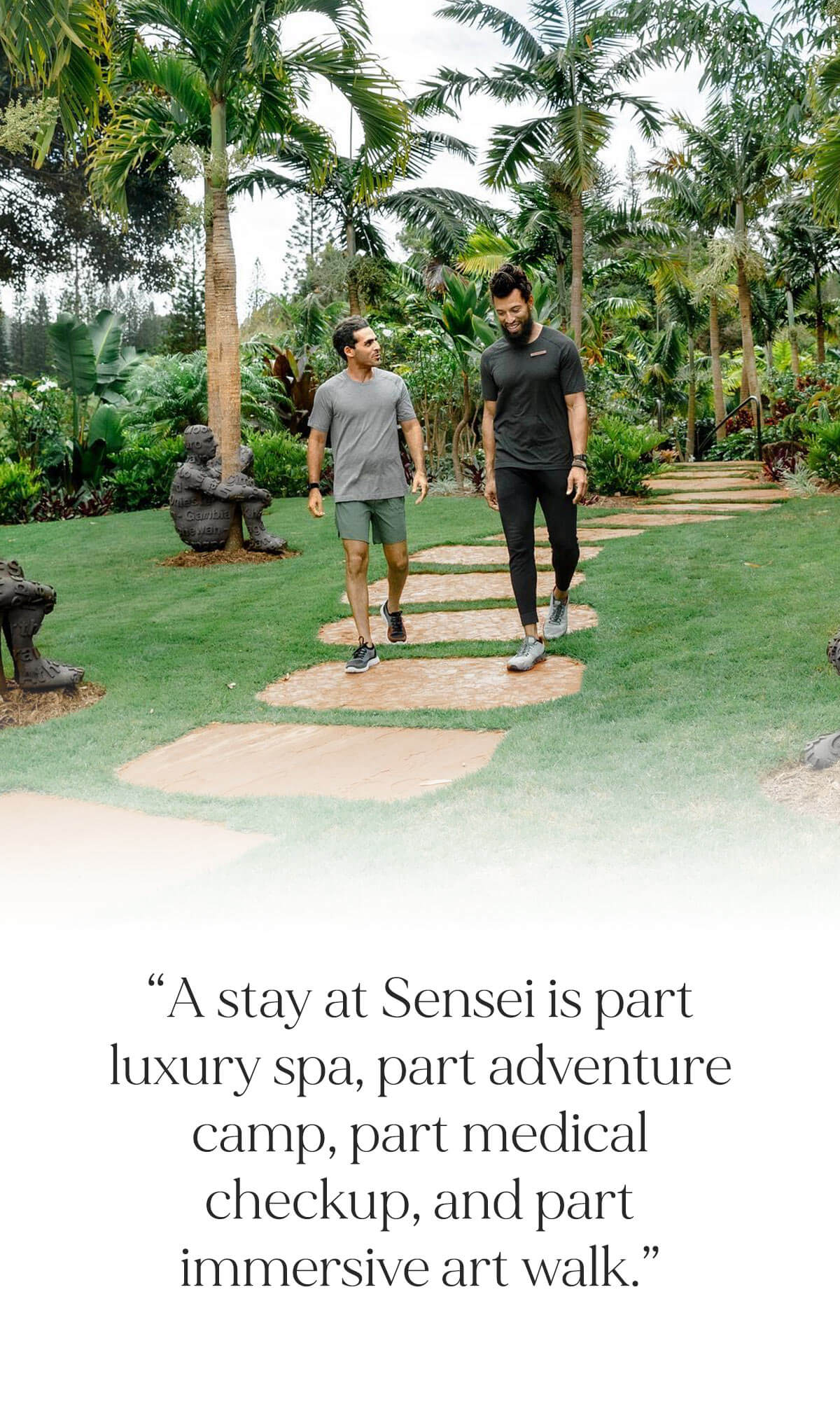 Pull quote written on the image, Sensey’s newsletter
