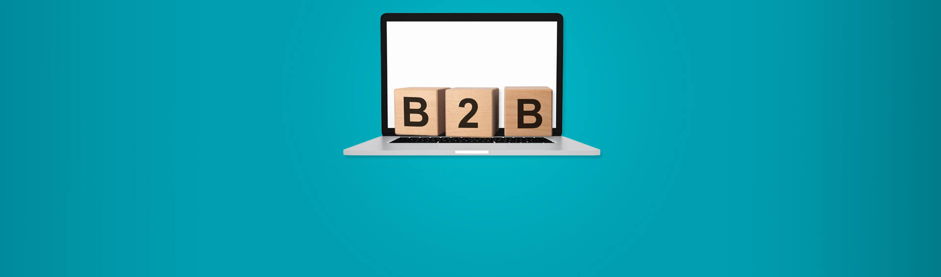B2B Email Newsletter Ideas and Approaches for Your Next Campaign
