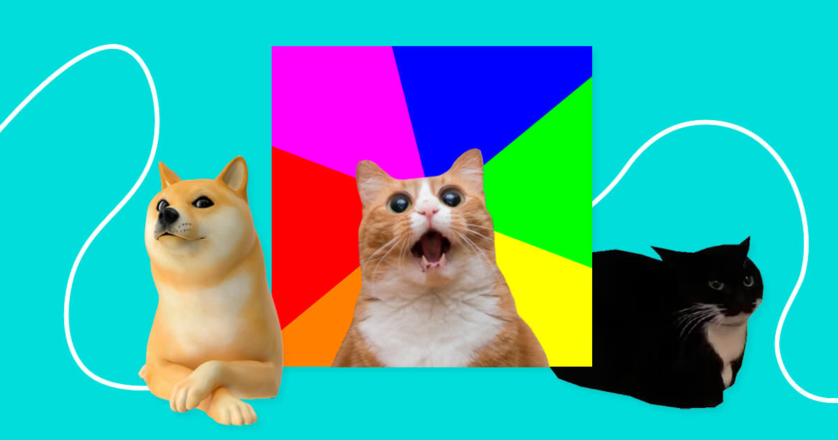 funny memes to make your day better|TikTok Search